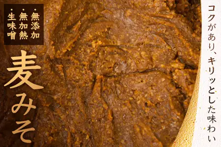 【婦人会で受け継がれるふるさと味噌】麦みそ 七ツ山みそ 800g×2袋 常温｜味噌 生味噌 麦味噌 麹 米麹 熟成 手作り 味噌汁 調味料 発酵食品 産地直送 もろっこはうす 宮崎県 諸塚村 MO-39