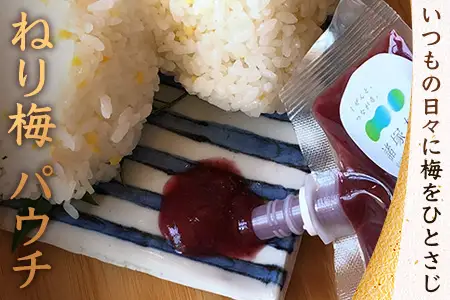 ねり梅 120g×3P パウチ 常温｜ねりうめ 梅 ウメ 梅肉 ペースト シソ 紫蘇 和え物 梅和え 漬物 ごはんのお供 熱中症対策 塩分 加工品 調味料 もろっこはうす 宮崎県 諸塚村 MO-48