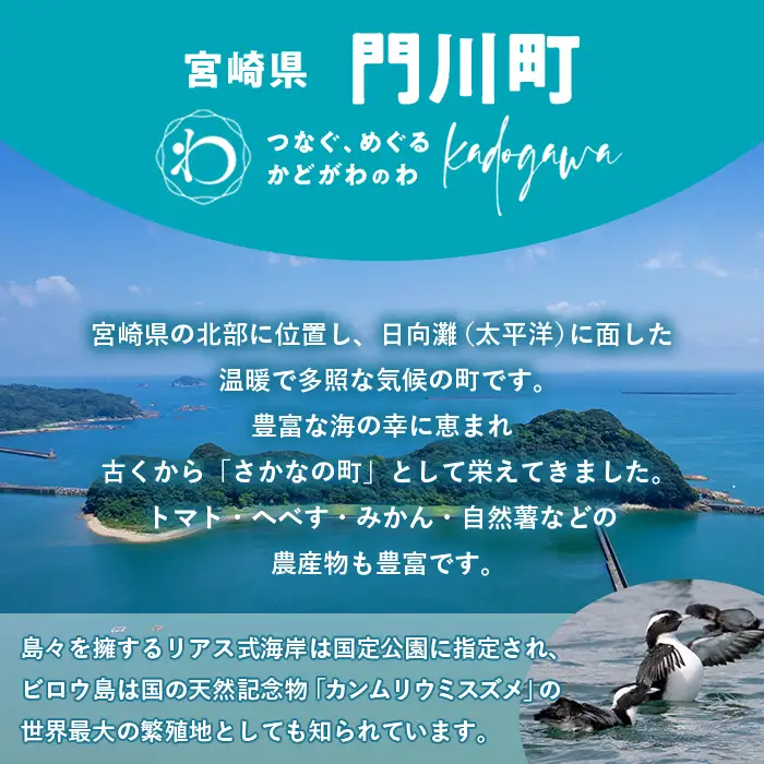 ≪返礼品なし・1,000円≫宮崎県 門川町への寄附【地域振興課】【AI-10】
