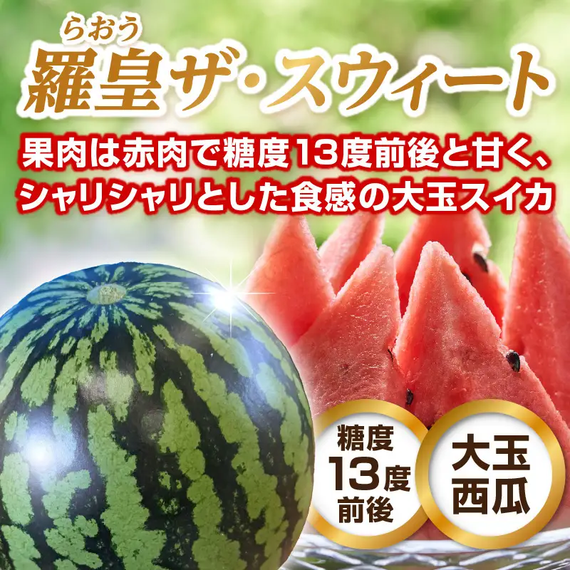 大江町産スイカ 羅皇ザ・スウィート 2L～3Lサイズ 2玉セット 068-002