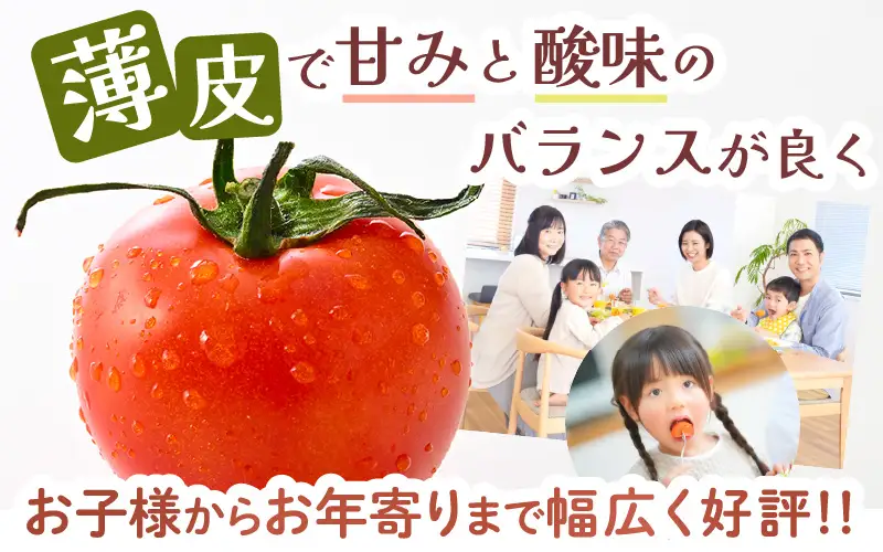 先行予約 完熟ミディトマト 1kg 中玉トマト 2026年6月上旬以降順次発送予定 [A-22101]