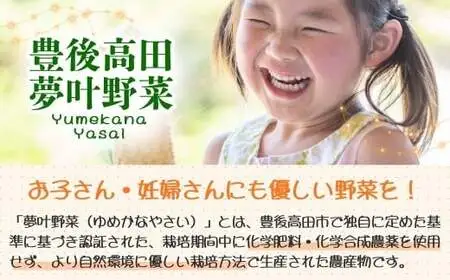 季節の夢叶 夏 野菜・米ボックス | 夏野菜 豊後高田市
