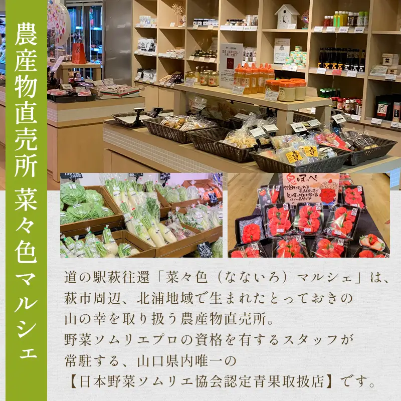 野菜ソムリエプロselect/萩・季節の食材定期便 奇数月発送・6回コース