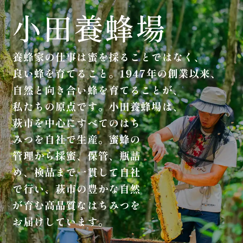 純粋天然 山口のはちみつ600g 4本