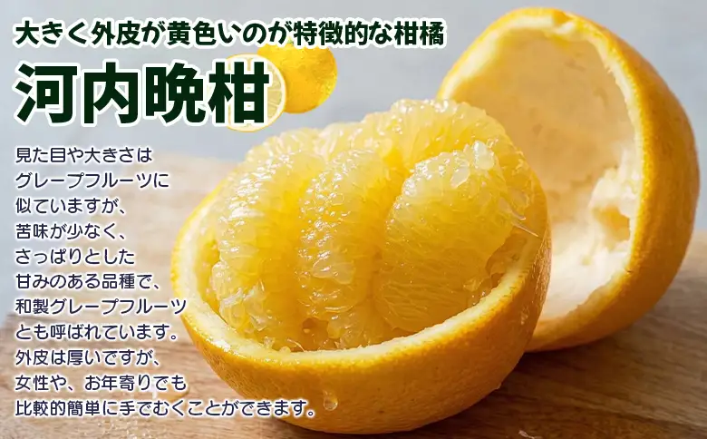 先行予約受付＜天晴晩柑（河内晩柑）家庭用 約1.2kg＋300g＞『2026年4月上旬～5月下旬迄に順次出荷予定』感謝企画 訳アリ 訳あり 果物 柑橘 みかん 和製 グレープフルーツ 食べて応援 特産品 株式会社笑丸 愛媛県明浜産 愛媛県 西予市【常温】AAN0090