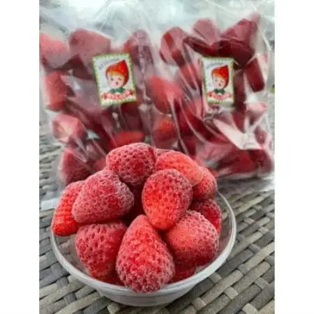 紅ほっぺ 冷凍いちご500g×4袋 計2kg【配送不可地域：離島・北海道・沖縄県・四国・九州】【1732414】