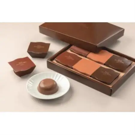 リッチチョコレートプリン　6個詰【1728664】
