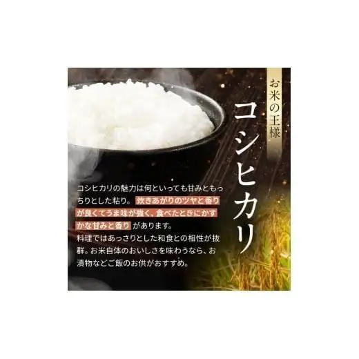 【令和8年産 新米】 栃木県産 お米 こしひかり　（無洗米） 2kg 【2026年秋 先行予約】 |  栃木県 矢板市 【栃木県共通返礼品】