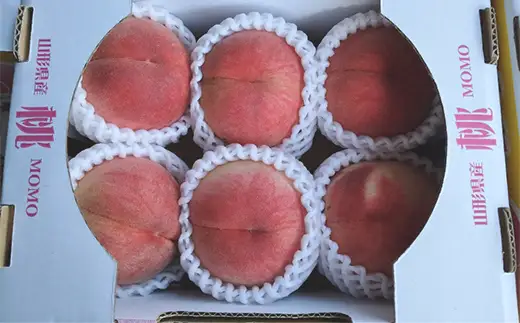 【2026年8月発送開始】至高のフルーツ！山形県産旬のフルーツちょっとずつ食べ比べ定期便A 全3回 F4A-1026