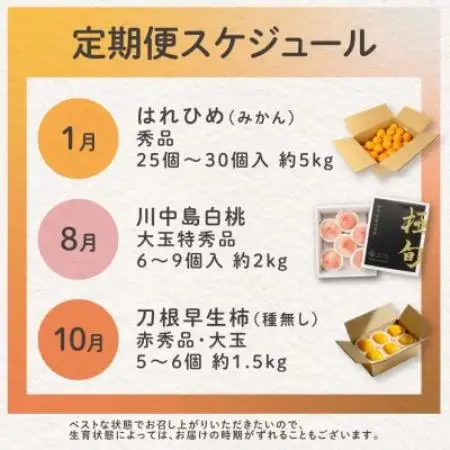 【発送月固定定期便】フルーツ定期便　品質に自信あり!道の駅よりこだわり農家厳選品!全3回【配送不可地域：離島】【4083384】