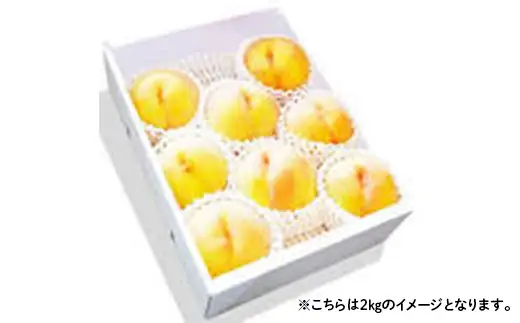 【2026年8月発送開始】至高のフルーツ！山形県産旬のフルーツちょっとずつ食べ比べ定期便B 全3回 F4A-1027