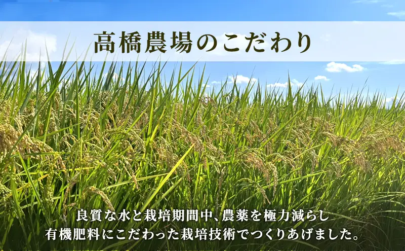 先行予約 令和8年産 新潟県上越市産 特別栽培米 コシヒカリ  10kg（5kg×2袋）ご飯 おにぎり
