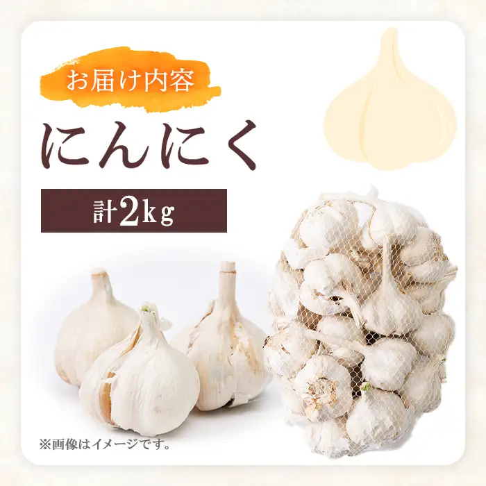  ＜先行予約受付中！6月中旬以降順次発送予定＞＜訳あり＞ニンニク (計2kg)にんにく 野菜 ガーリック【118500400】【両院農産】