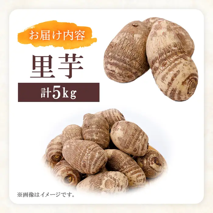 ＜先行予約受付中！10月中旬以降順次発送予定＞里芋 (計5kg) さといも いも 野菜【118500500】【両院農産】