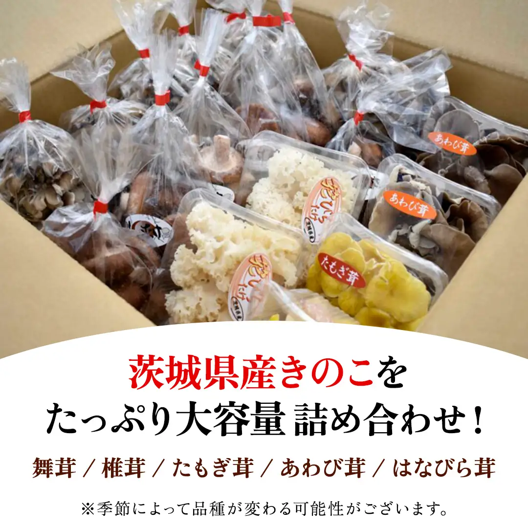 きのこ 5種 詰め合わせ 約3.8kg 【 保存用フリーザーバック 20枚付き 】 大容量 キノコ 舞茸 あわび茸 たもぎ茸 しいたけ 花びら茸 セット 鍋 炒め物 （AU005）