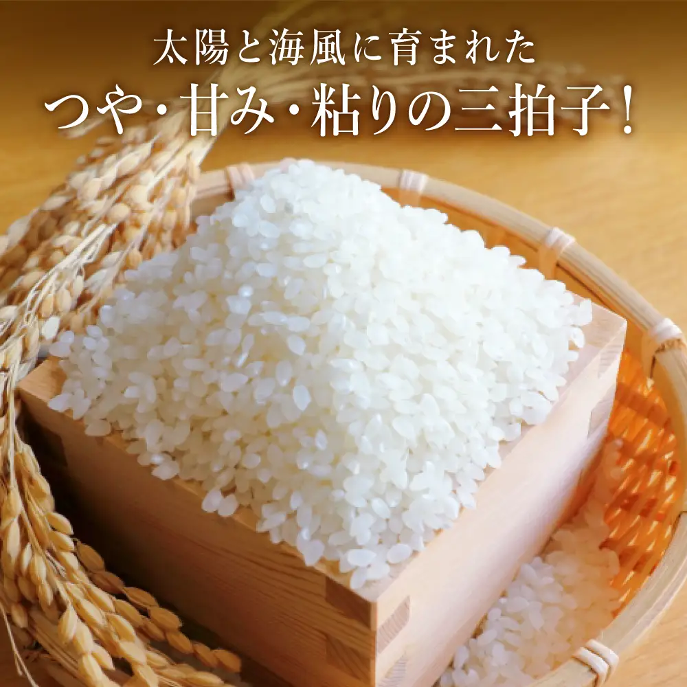 令和7年産 阪南市産のうまいお米 5kg ×1袋 / 精米 単一原料米 にこまる