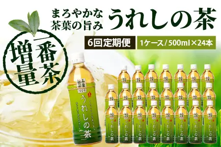 工場直送！うれしの茶 500ml×24本入 《6回 定期便》箱買い セット お茶 飲料 緑茶 飲み切りサイズ うれしの 嬉野茶 ペットボトル 24本入り 500ml ストック ギフト 贈り物 贈答 お中元 お歳暮 季節の変わり目 旬 備蓄 備え 佐賀県 鹿島市 J-35