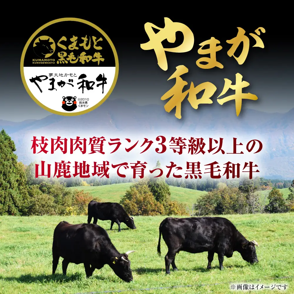 やまが和牛 切り落とし 約1kg 黒毛和牛 和牛 牛肉 お肉 肉【鹿本農業協同組合】[ZAG019]