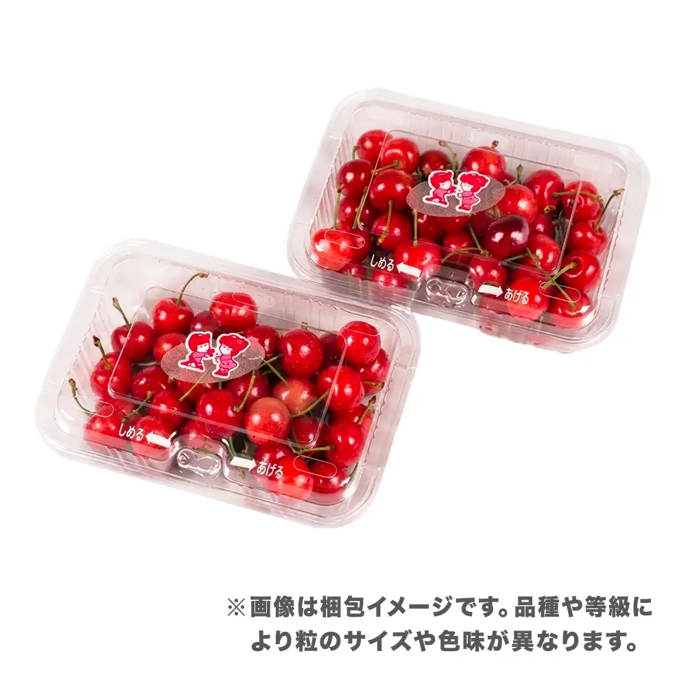 先行予約 さくらんぼ やまがた紅王 360g(180g×2パック) Lサイズ 秀品 山形県産 令和8年産 2026年産 sb-ybslx360
