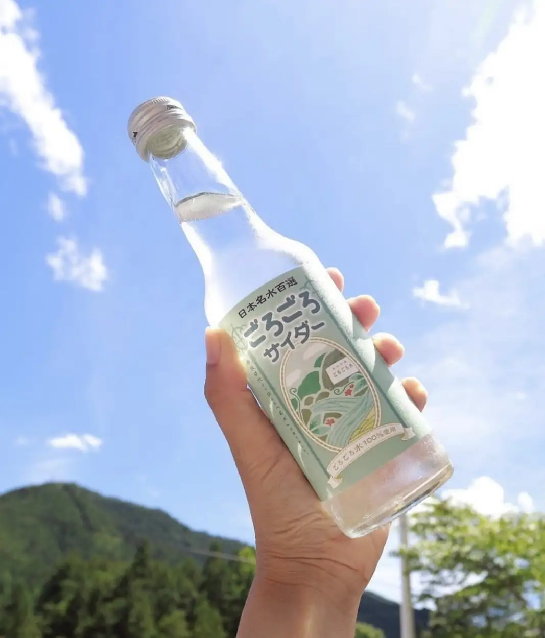ごろごろサイダー 250ml×1箱（24本入）