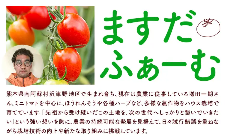 ミニトマト キャロルスター 約3kg ますだふぁーむ《7月上旬-11月末頃出荷》熊本県 南阿蘇村 キャロルスター 野菜 旬 夏野菜 トマト