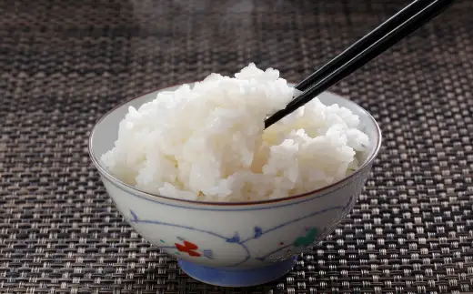 米 5kg 無洗米 コシヒカリ 令和7年産 とろかわの恋（極）13-10