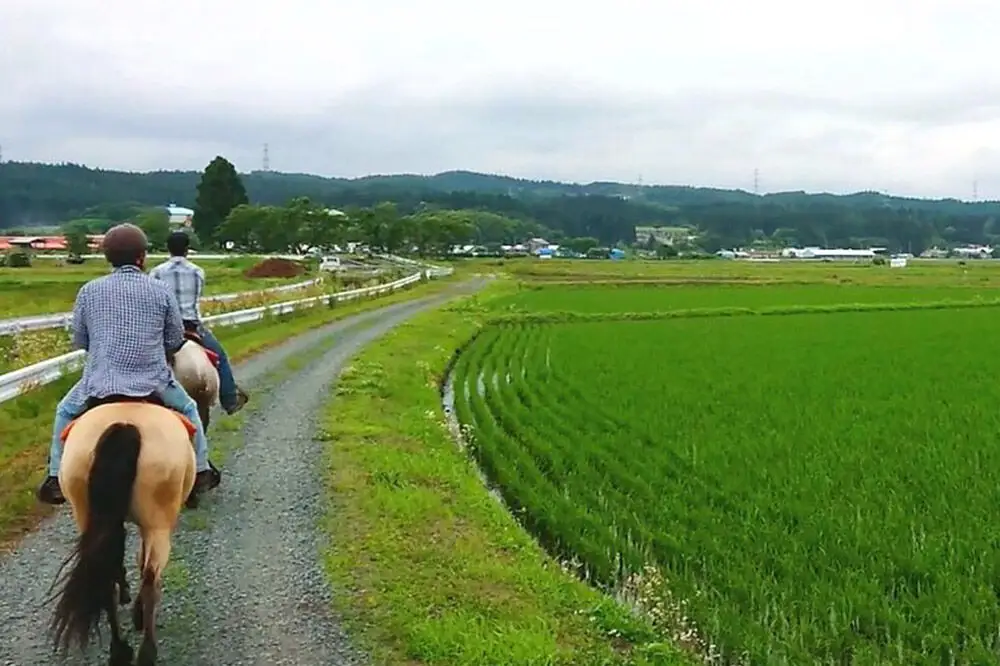 「駒の里」十和田で乗馬トレッキング45分（1名様分） レターパックプラス 青森県十和田市