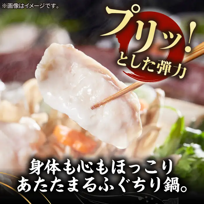 とらふぐ 鍋セット（2～3人前）[JDT086] ふぐ 鍋