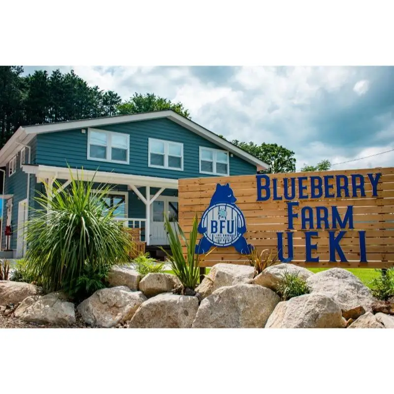 BULE BERRY FARM UEKI 施設利用券 ３０００円分