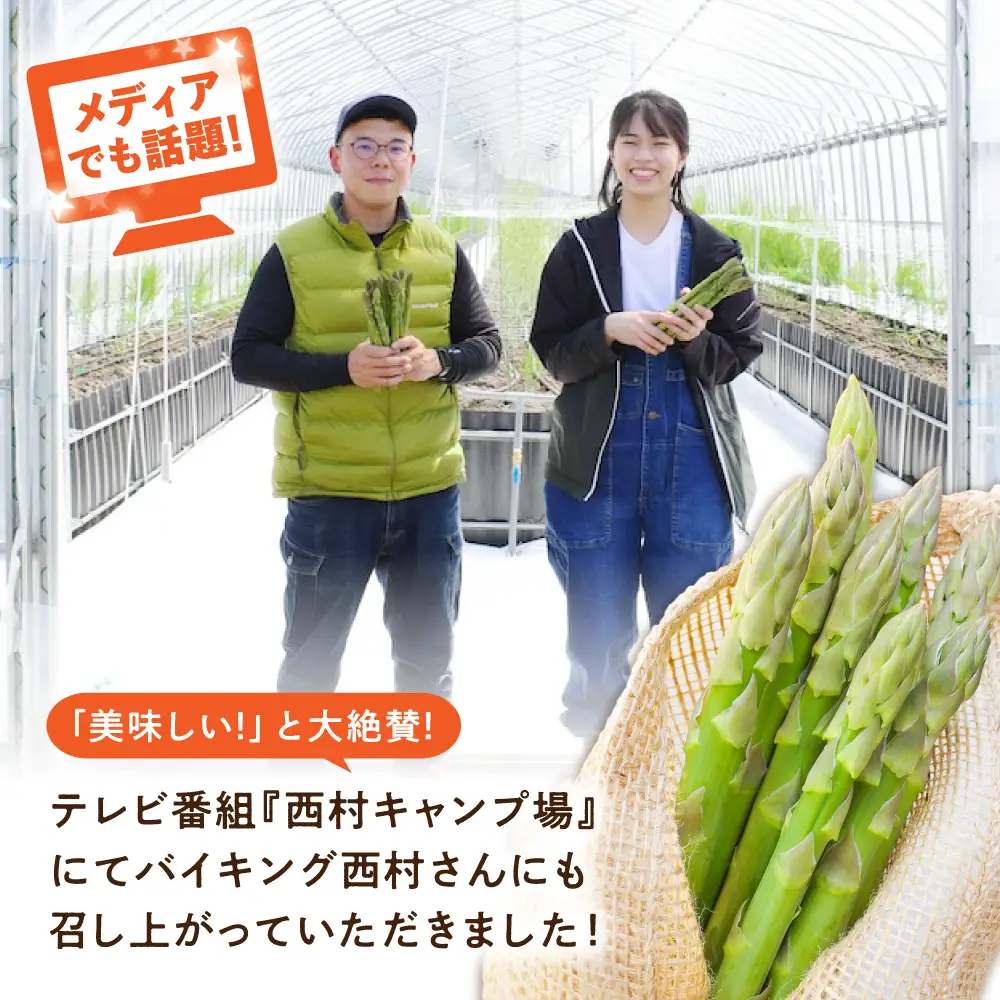 朝採れ アスパラ 約1.5kg [APAU003] アスパラガス