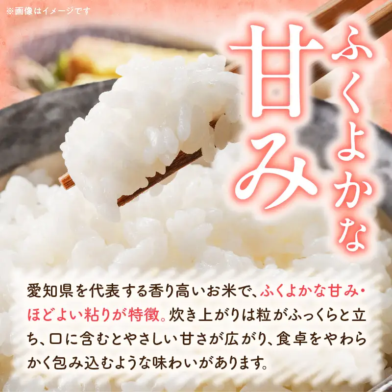 R7年産　「あいちのかおり」（20kg）＜農家直送＞ ［208K16］ 20kg 米 精米 白米 ご飯 国産 産地直送 ふくよかな甘み ほどよい粘り お取り寄せ 愛知県 小牧市 送料無料