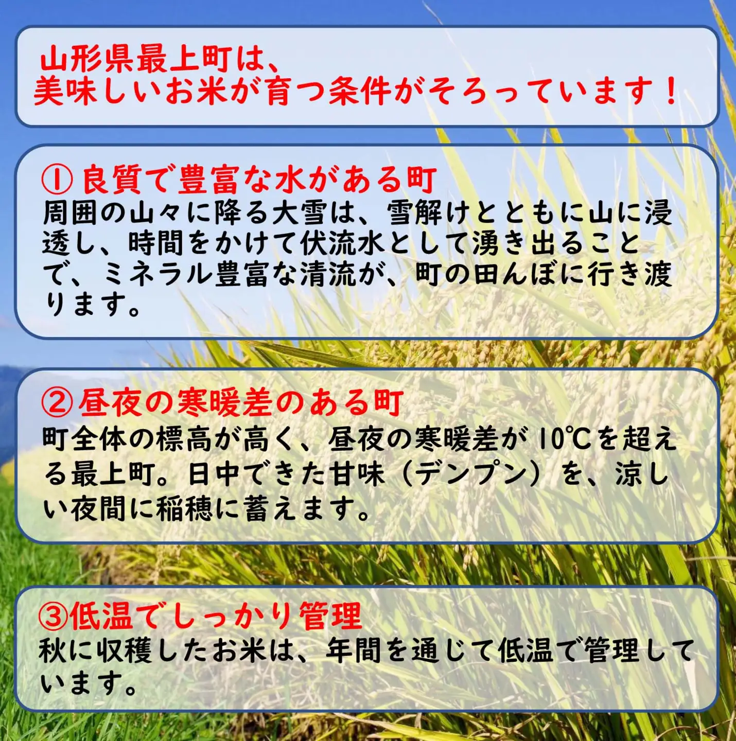 令和7年産　山形県産 雪若丸 20kg (5㎏×4袋)