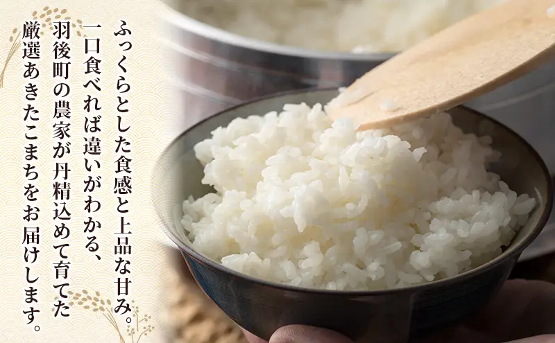 新米 先行予約［令和8年産］秋田県産 あきたこまち 10kg (5kg×2袋) 羽後町産 [藤原商店]【 米 お米 白米 精米 あきたこまち アキタコマチ 美味しい 秋田 羽後 】