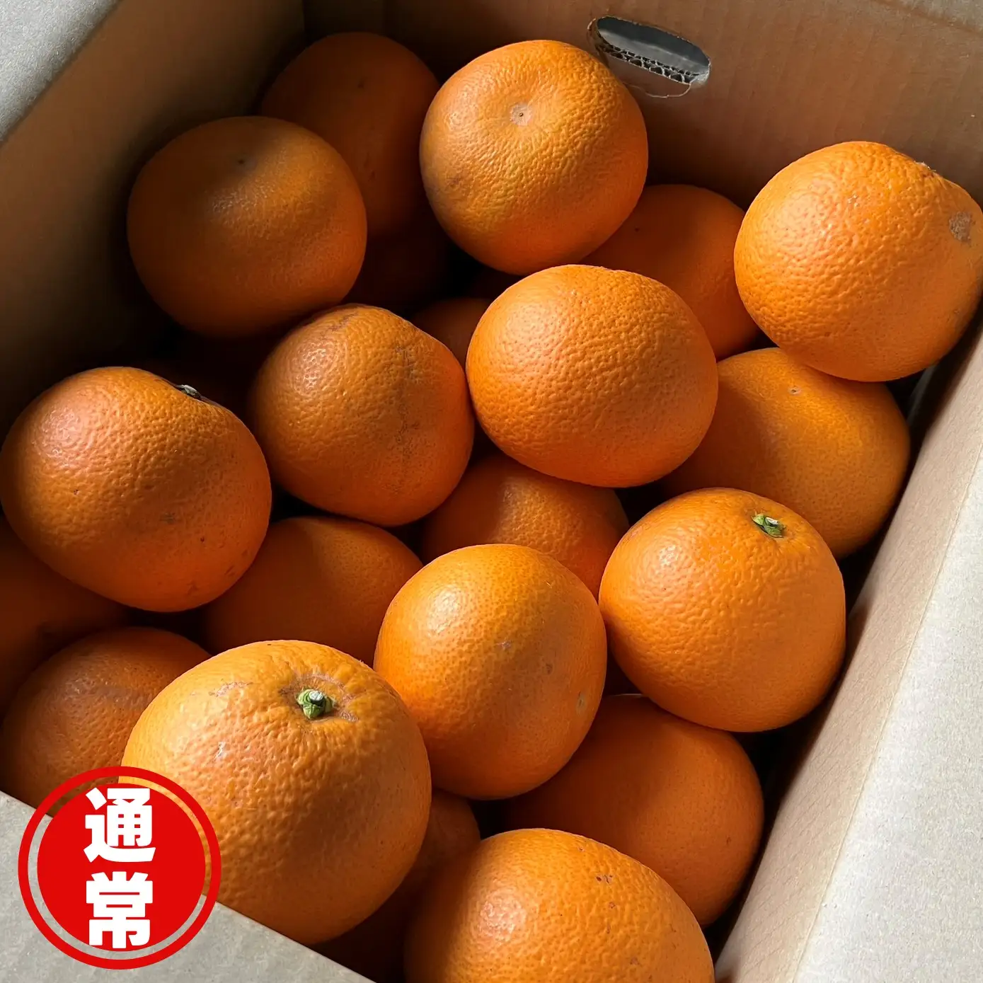 和歌山県産 紅 はっさく 10kg  サイズおまかせ / 八朔 ハッサク 柑橘 果物 和歌山 ※2027年2月中旬～3月中旬に順次発送予定 ※北海道・沖縄・離島配送不可 【eiw021-beni-10】