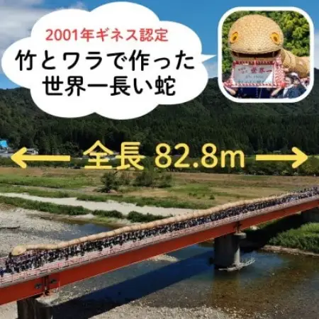 【返礼品なし】NIPPON 防災資産認定 えちごせきかわ大したもん蛇まつりを応援 1口2,000円
