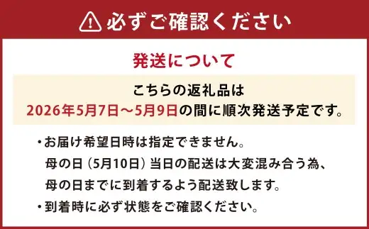 【先行予約】母の日にぴったりなカーネーションを中心にしたブーケ！ 花瓶付きタイプ 【2026年5月7日～9日までまで順次発送】 母の日 花 花瓶 ブーケ 花束 贈り物 ギフト