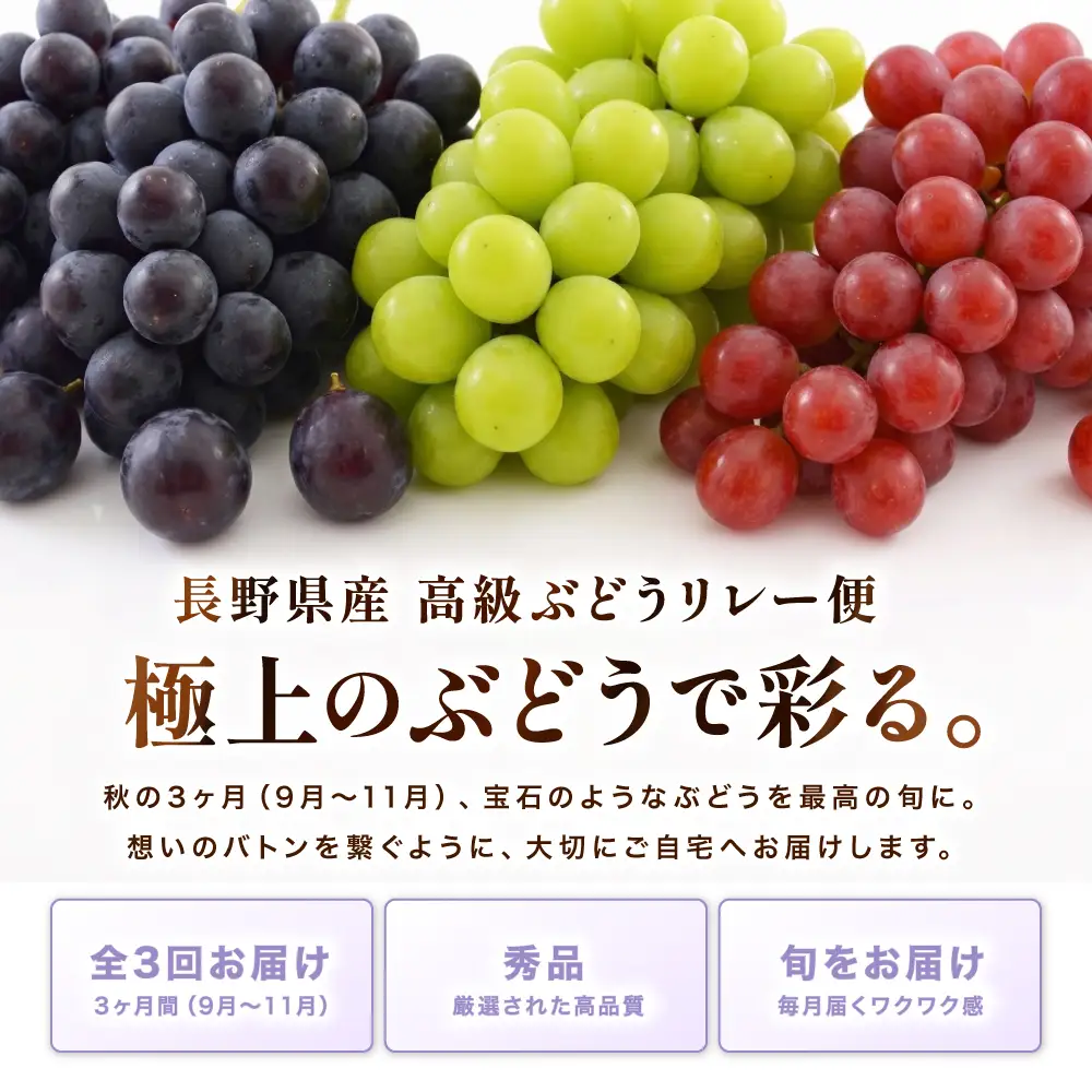 【定期便3回】長野県産 高級 ぶどう リレー便 ( 3ヶ月 )