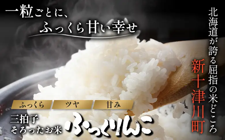 【令和7年度産】ふっくりんこ精米 (10kg)【11072】