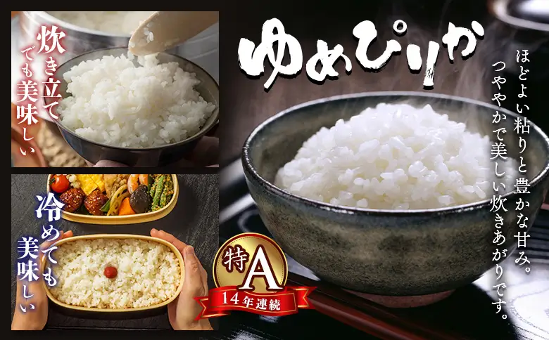【令和7年度産】ゆめぴりか精米（5kg）【11069】