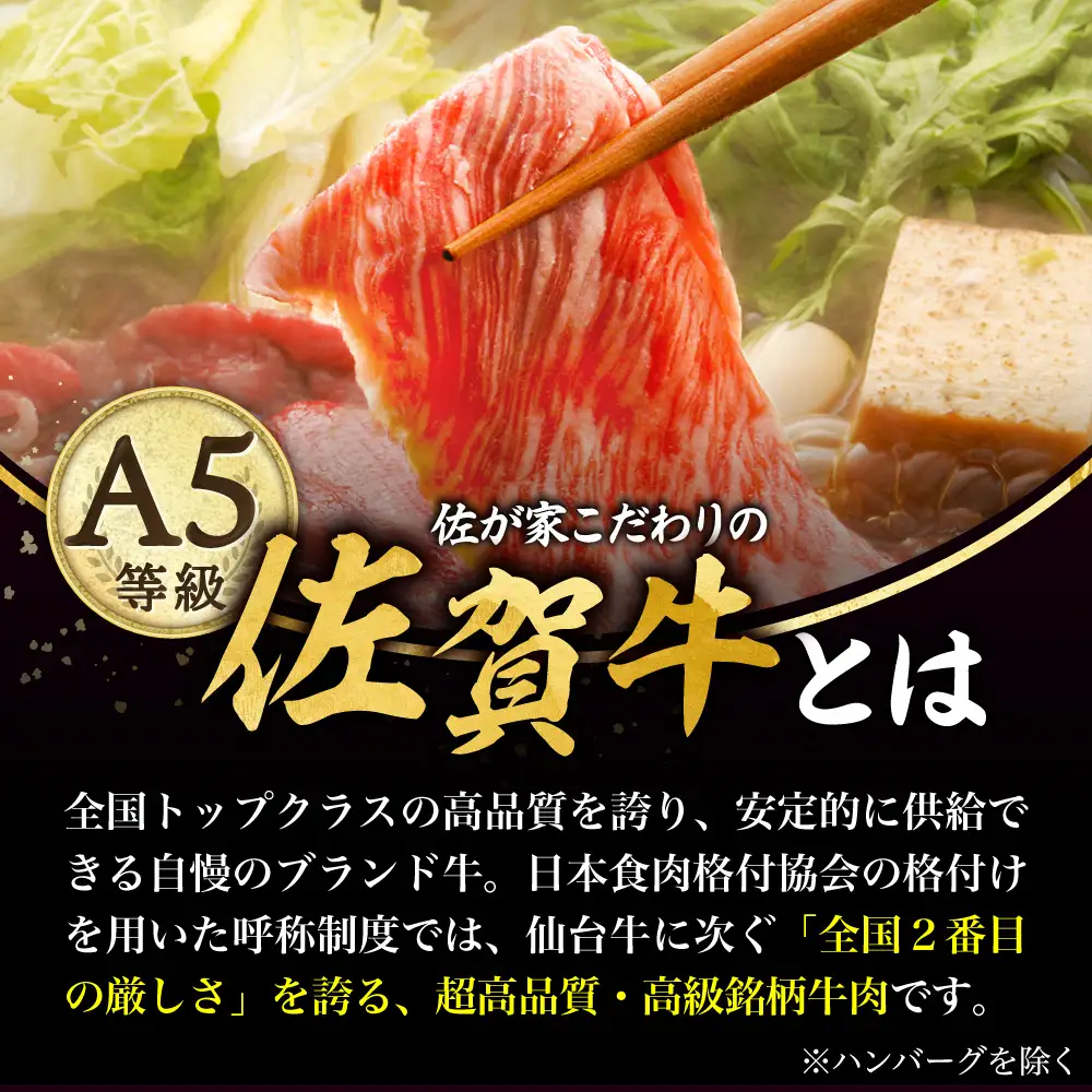 【6回定期便】佐賀牛プレミアム定期便（寄附金額 20万円コース）/ナチュラルフーズ[UBH126]