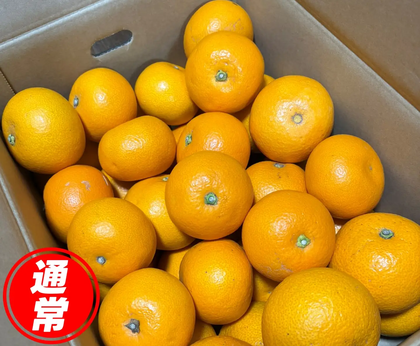 和歌山県産 はっさく 5kg  サイズおまかせ / 八朔 ハッサク 柑橘 果物 和歌山 ※2027年2月中旬～3月中旬に順次発送予定 ※北海道・沖縄・離島配送不可 【eiw021-r-5】