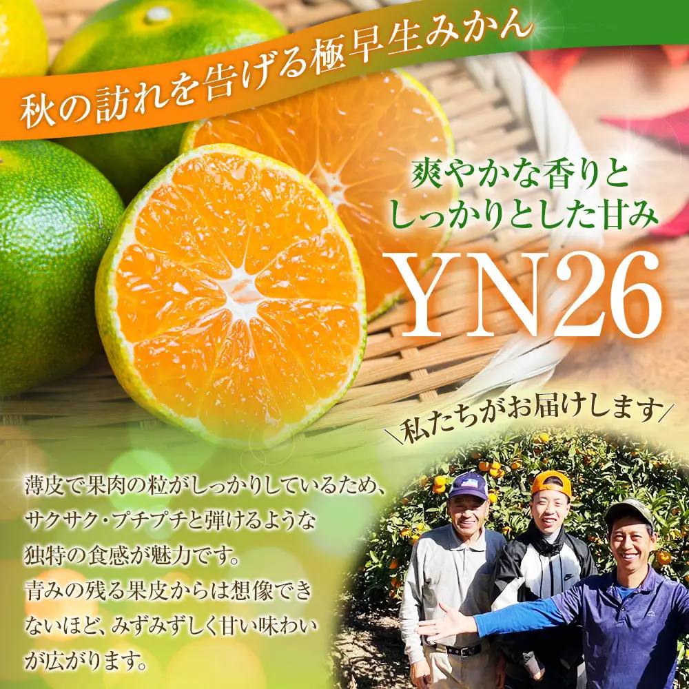 こだわりの極早生みかんYN26 5kg 3S～Mサイズいずれか