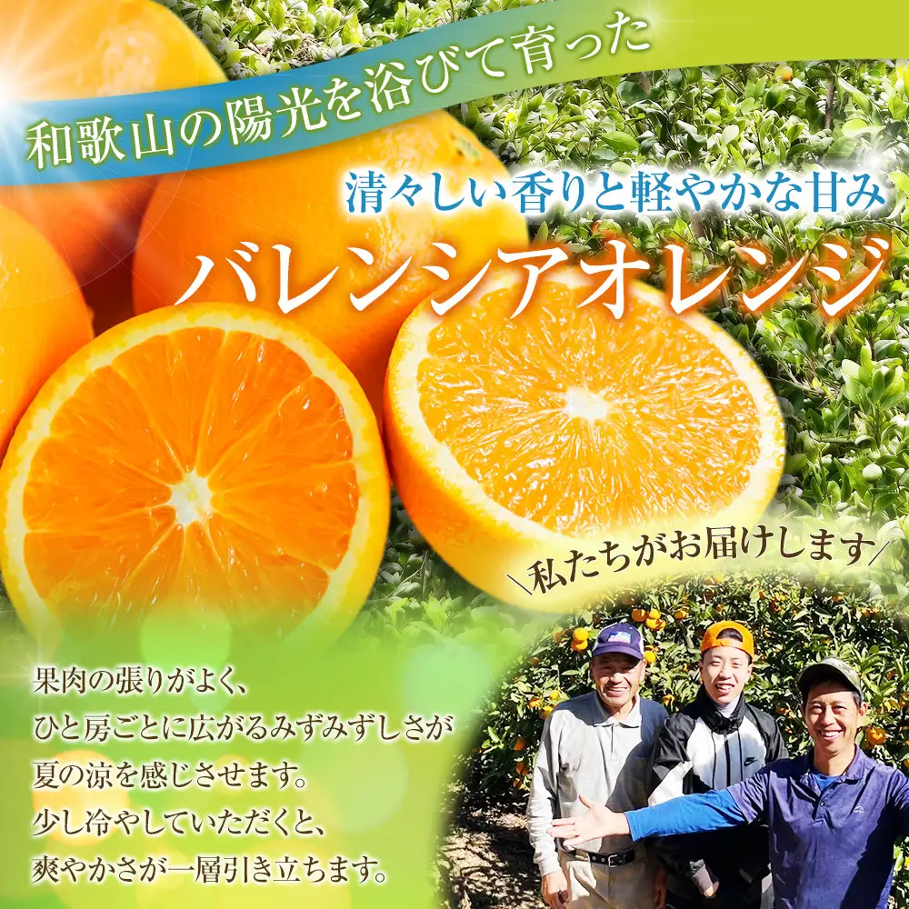 バレンシアオレンジ 秀優 5kg S～3Lサイズいずれか