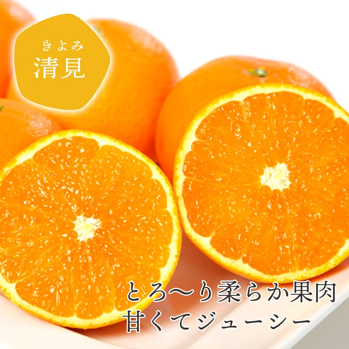 果汁たっぷり ジューシー清見3.5kg【D25-129】【1044409】 YWTAP072