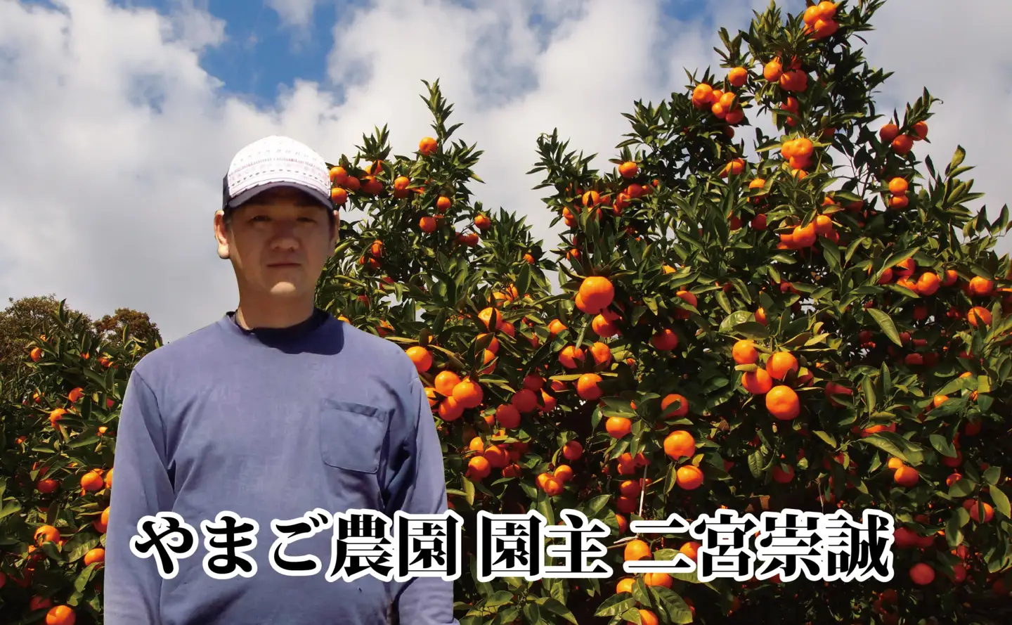 濃厚な味わい!やまご農園 高糖度みかん!「あけぼの」【C39-11】【配送不可地域：離島】【1491797】 YWTF004