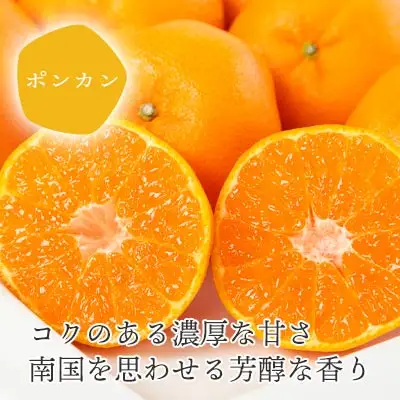 【先行受付】愛媛の新春柑橘 芳醇な香りのポンカン 5kg【訳あり】【C25-135】【1248059】 YWTAP078