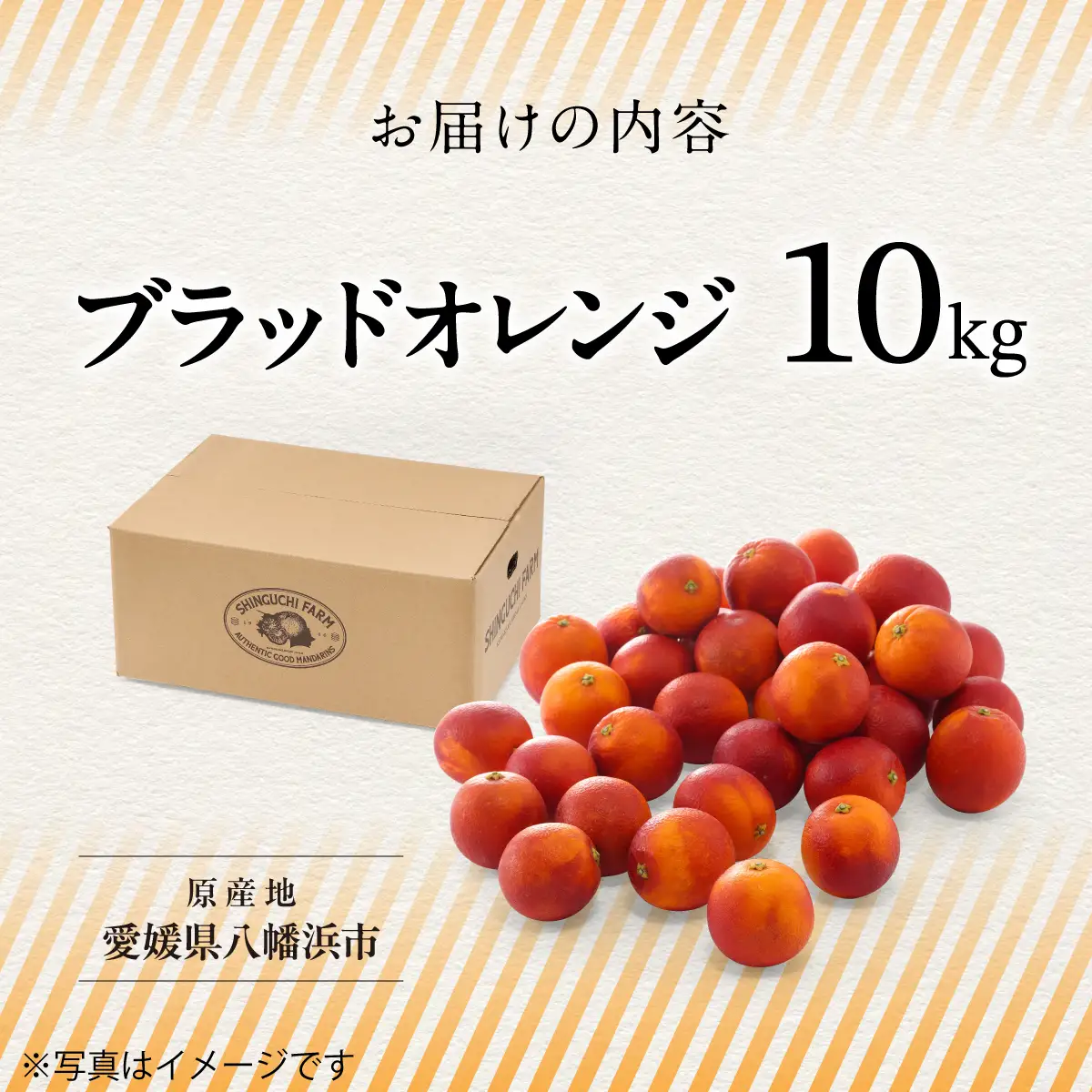【太陽の恵みをギュッと凝縮】ブラッドオレンジ 10kg 愛媛県産【G70-19】【1470694】 YWTK019