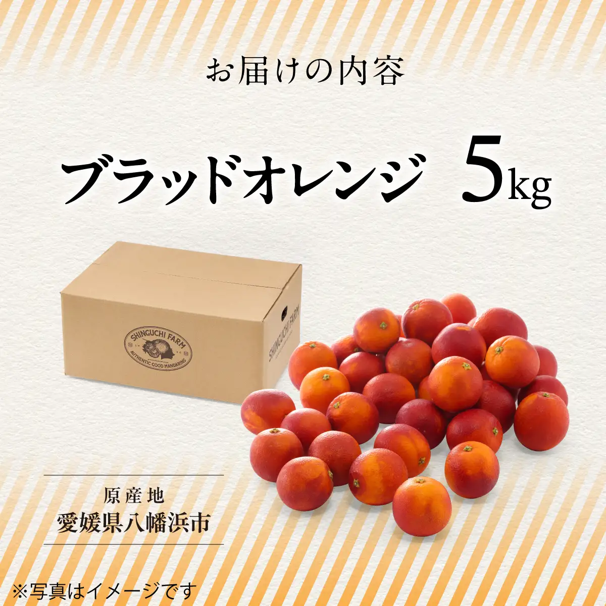 【太陽の恵みをギュッと凝縮】ブラッドオレンジ 5kg 愛媛県産【D70-18】【1470701】 YWTK018