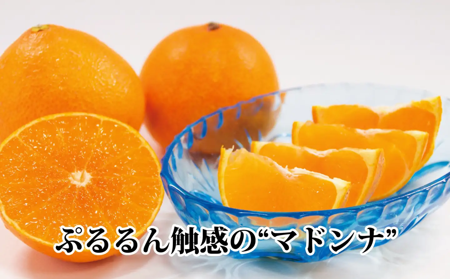 2026年11月発送開始　ぷるぷる新食感!「マドンナ」+濃厚!「小玉みかん」約5kg【D39-32】【1252242】 YWTF014