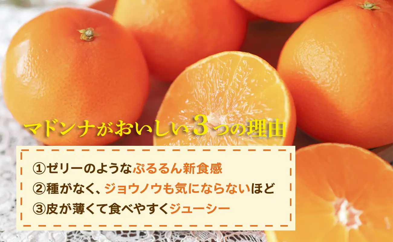 2026年11月発送開始　ぷるぷる新食感「マドンナ」約4kg　【D39-31】【1149494】 YWTF013